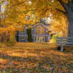 Landscapers Insurance: About Fall Lawn Maintenance You Need to Know