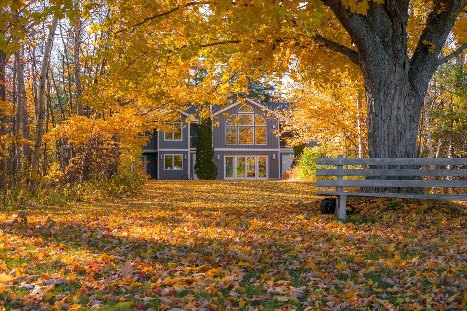 Landscapers Insurance: About Fall Lawn Maintenance You Need to Know